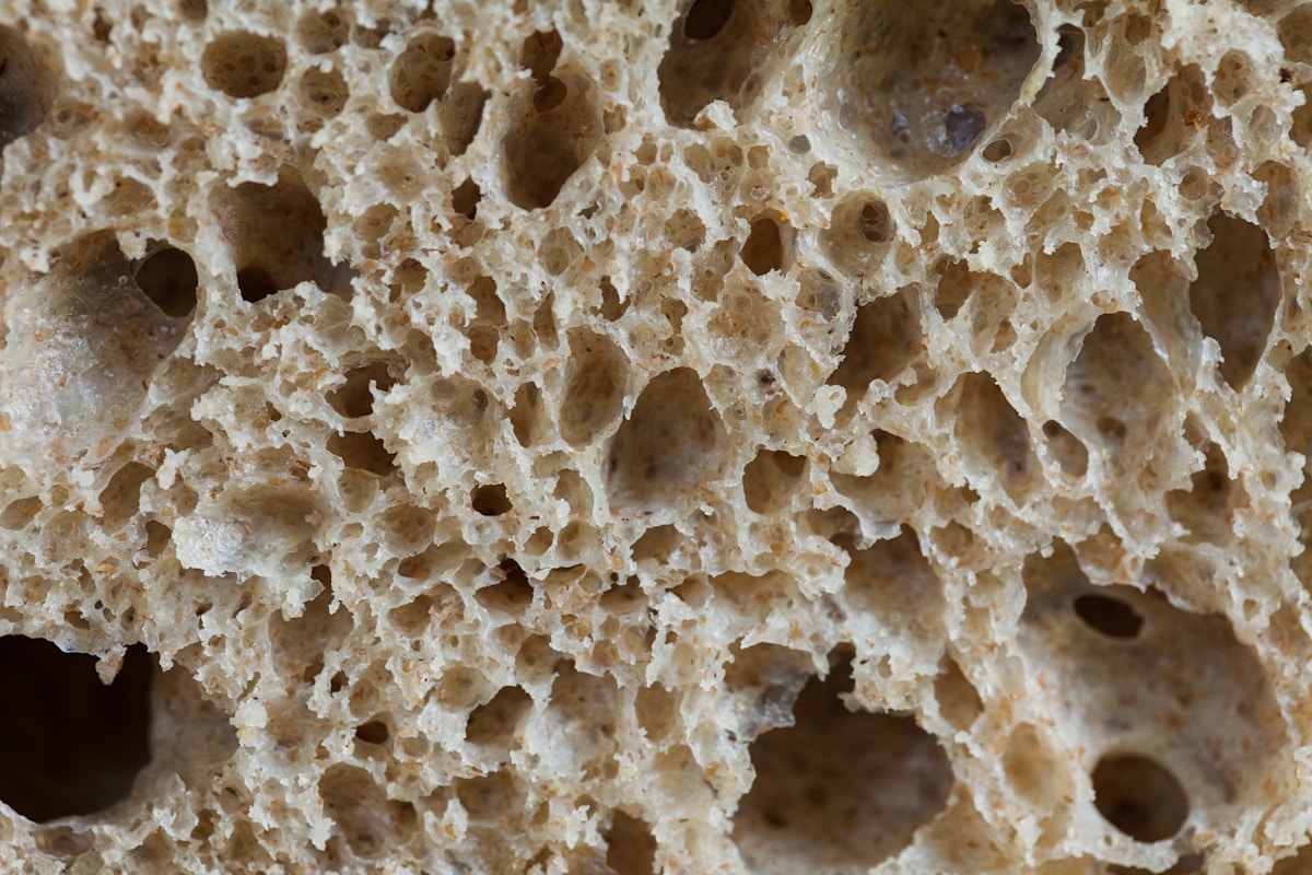 Yeast and mold screening laboratory testing for fungal contamination and microbial safety compliance