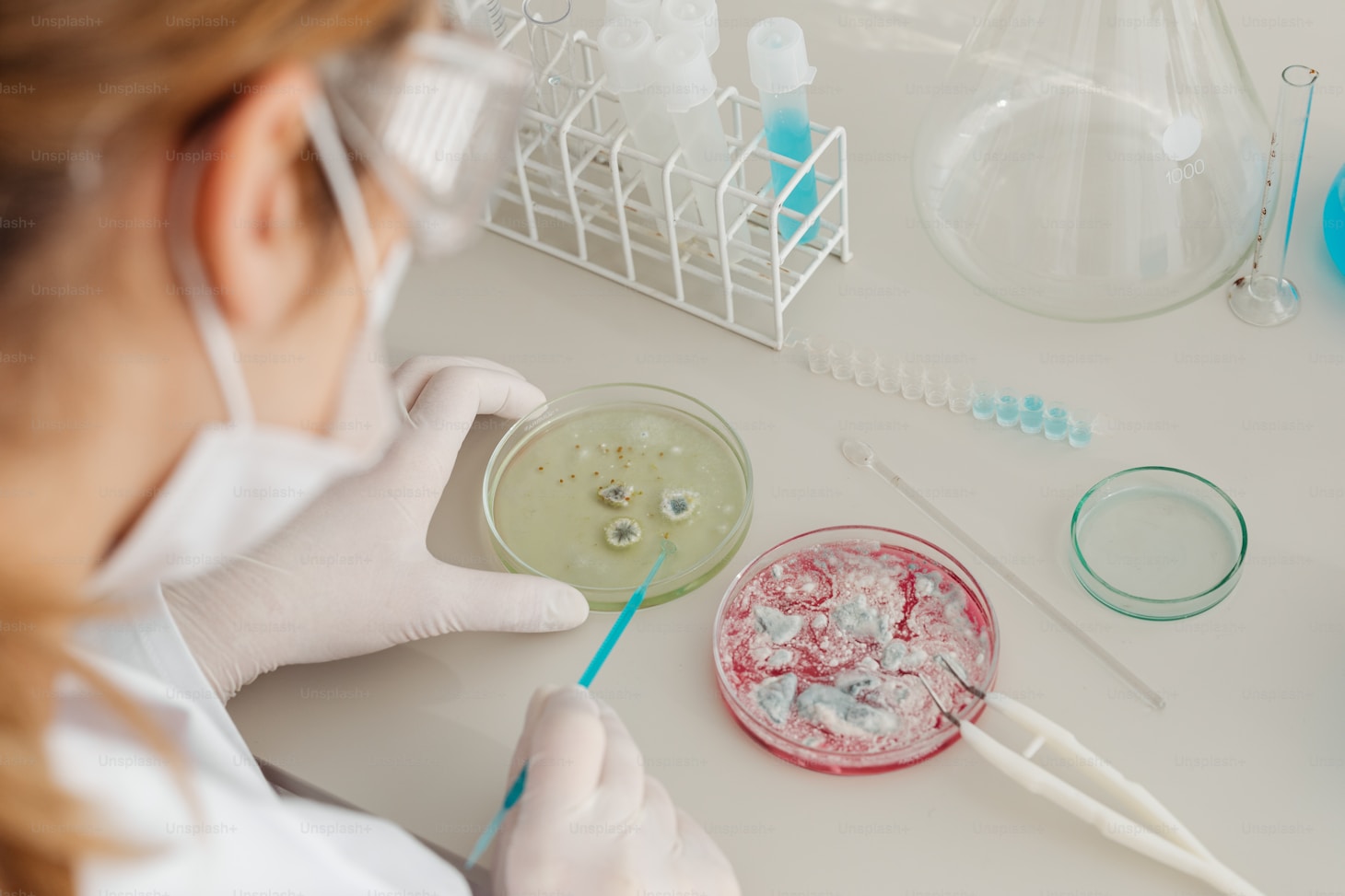 Microbial challenge study supporting food safety validation and HACCP compliance