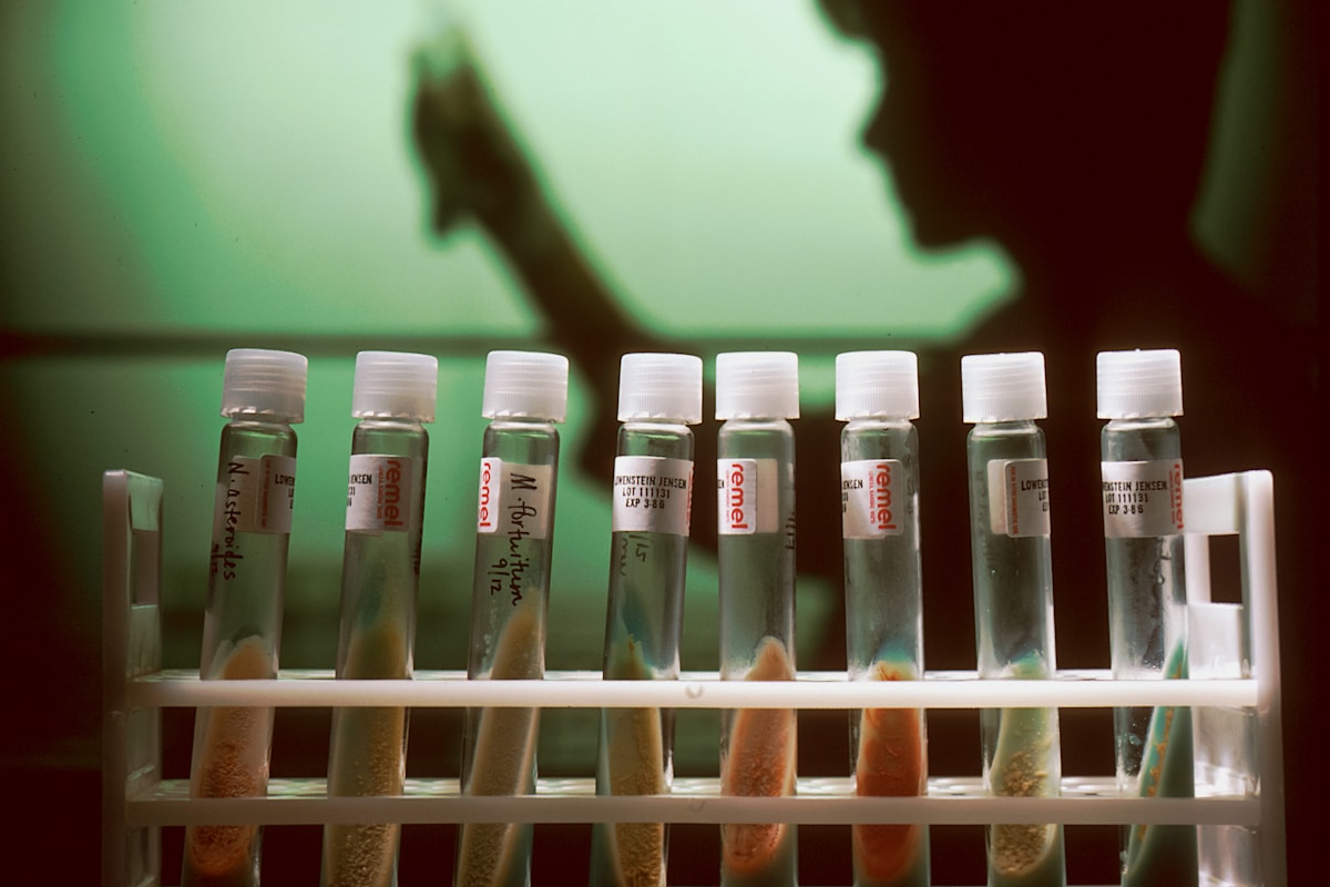 Scientifically rigorous microbial challenge testing to validate food safety and shelf-life stability