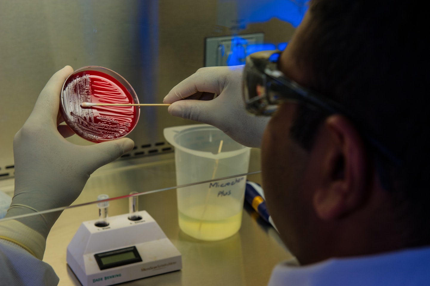 Microbial challenge testing in laboratory evaluating pathogen behavior in food products