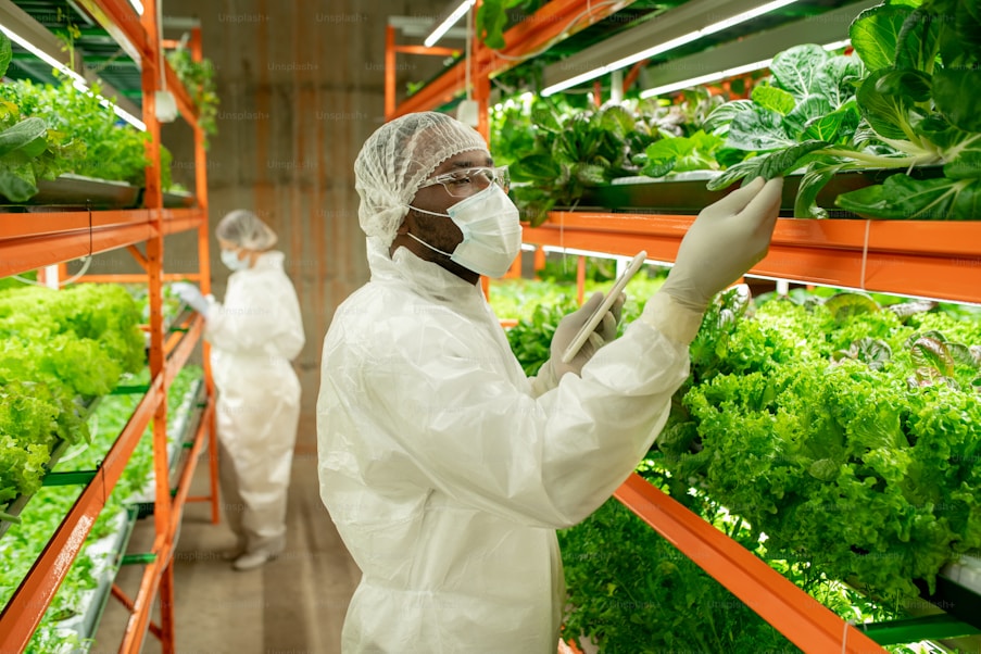 Two scientists in protective suits inspecting leafy greens in a vertical indoor farm.