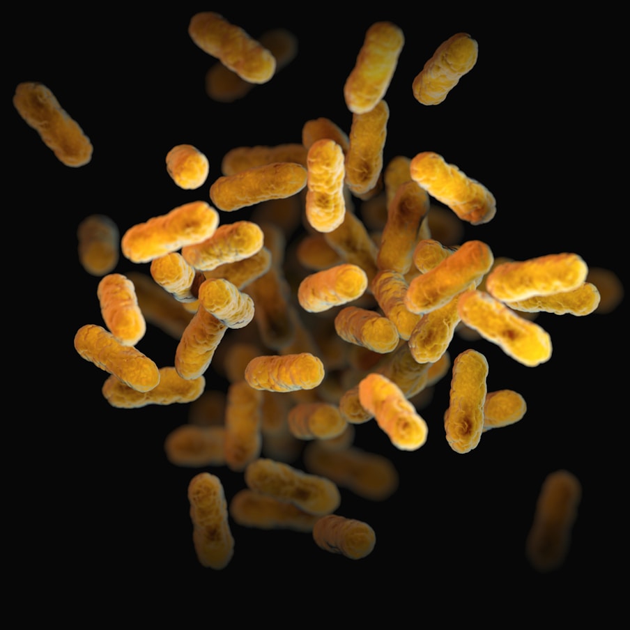 Microscopic 3D illustration of golden-yellow rod-shaped Bordetella pertussis bacteria clustered against a solid black background.