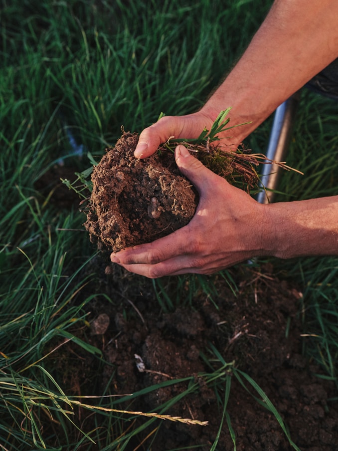 Two hands holding and examining a large clump of dark, damp soil in a grassy field.