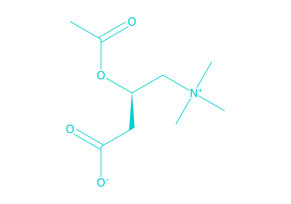 2D structure of acetyl-l-carnitine drawn in Vanguard Laboratory colors
