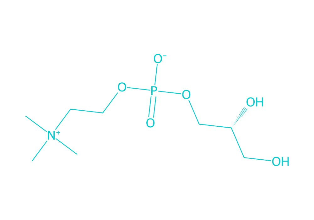 2D structure of alpha-gpc drawn in Vanguard Laboratory colors