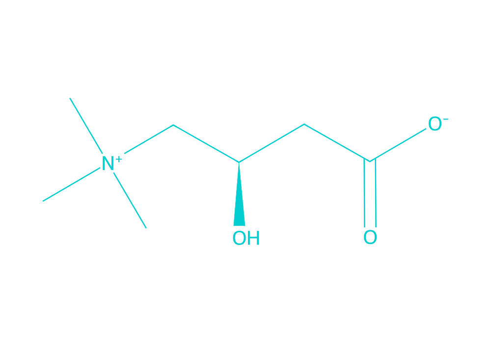 2D structure of l-carnitine drawn in Vanguard Laboratory colors