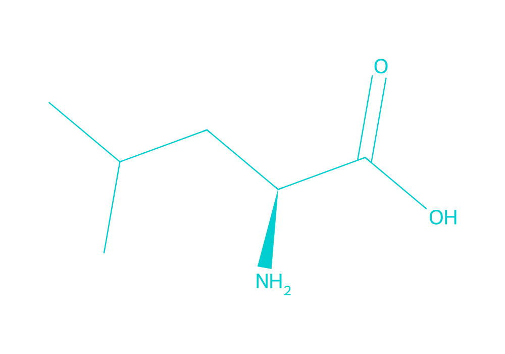 2D structure of l-leucine drawn in Vanguard Laboratory colors