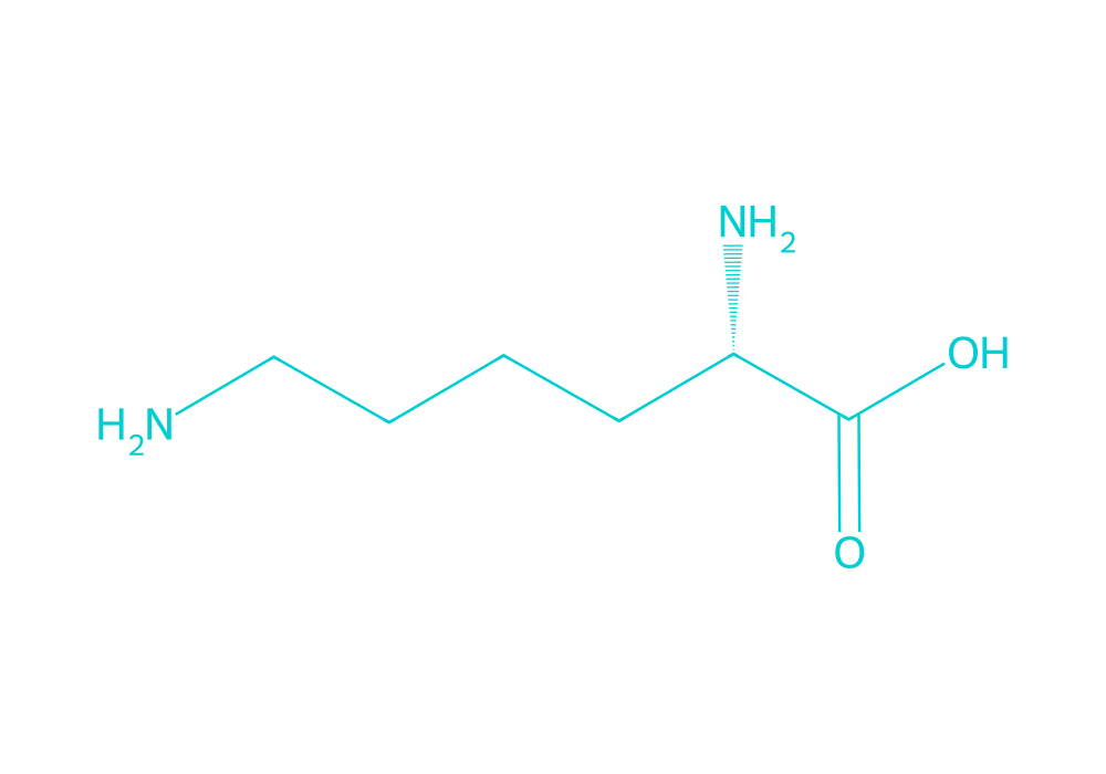 2D structure of l-lysine drawn in Vanguard Laboratory colors