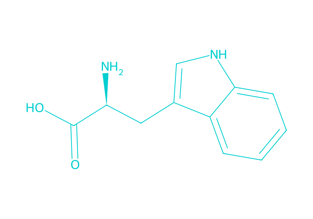2D structure of l-tryptophan drawn in Vanguard Laboratory colors