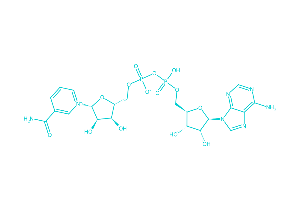 2D structure of nad drawn in Vanguard Laboratory colors